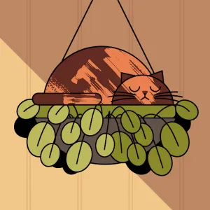 Pet-Sitter à Lille – Imene, 1 an d'expérience.