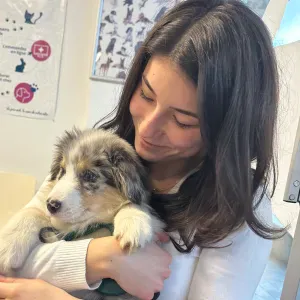 Pet-Sitter sur Reims pour chouchouter vos animaux !