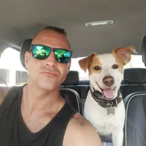 Pet sitter dans le Val d'Oise 