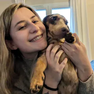 Pet-Sitter sur Cesson (77) et alentours 