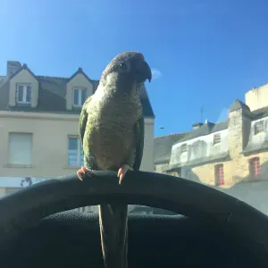 Je cherche une baby sitter 