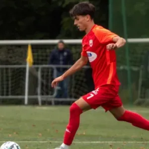 Homme à tout faire dans l Ain 