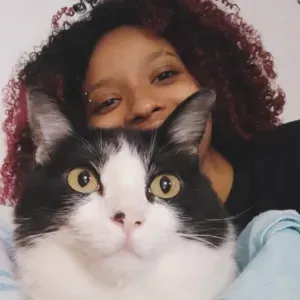 Babysitter in Brussels or Mons