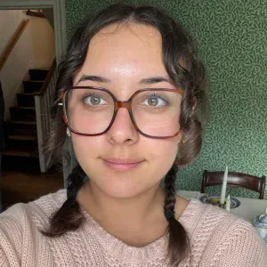 Aide aux devoirs/cours en français/anglais –primaire/collège