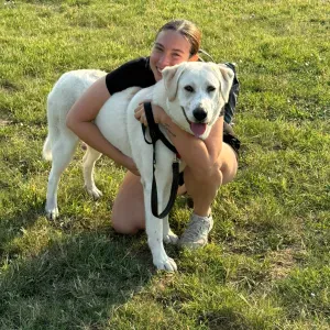 Impara a capire e ad appagare il tuo migliore amico 🐾