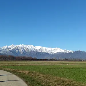 Automunita, con esperienza, disponibile da subito 