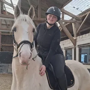 Pet sitter a Denderleeuw et passionné