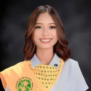 Responsible cleaner in normandie France