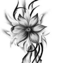 Heures de repassage (depluus plus de 15 ans dans e menage) 