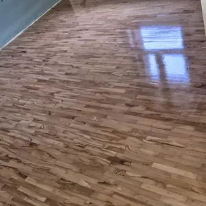 Pulizia domestica beybisitter 