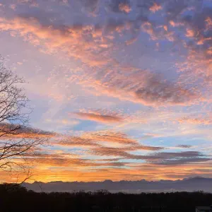 Baby-sitter + ménage à domicile