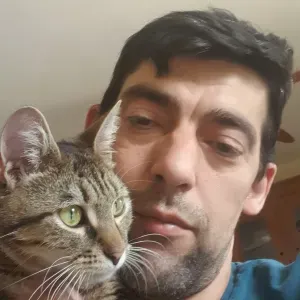 Recherche d'un cat sister