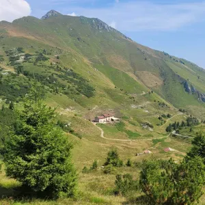 Pet sitting a brescia e nei dintorni