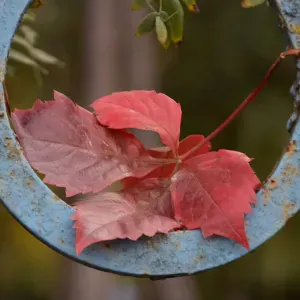 Femme de menaje a Luxemburg Ville