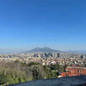 Pet sitting di marina a Napoli 