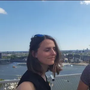 Prof particulier toutes matières primaire, collège, lycée