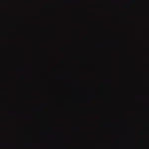 Auxiliaire de vie indépendante