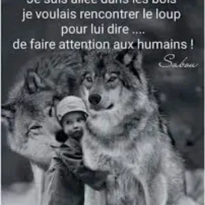 Bonjour je vous propose mes services