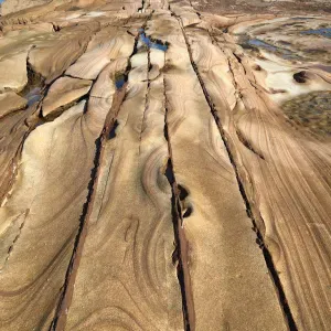 Offre d'emploi pour un(e) petsitter à Uccle