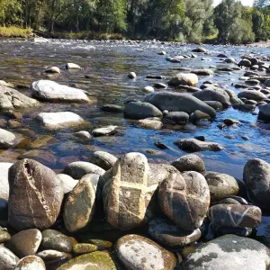 Aide soignante / auxiliaire de vie à domicile 