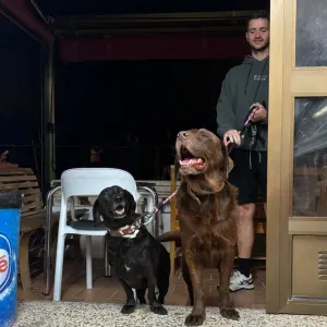 Pet care and walking on weekends in Luxembourg