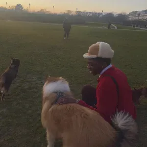 Recherche de chien à garder a votre domicile.