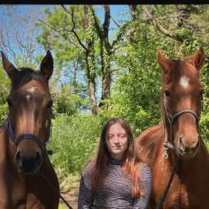 Complice de confiance pour vos animaux 