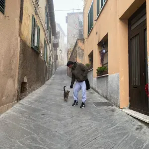 Cuidador de animais de estimação 😺🐶