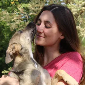 Pet sitter expérimentée à Lille (et les Weppes)