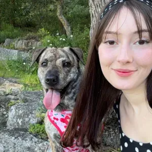 Pet sitting Almada e arredores