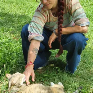 Ciao, sono Vincenza. Ho 3 gatti e seguo una colonia felina