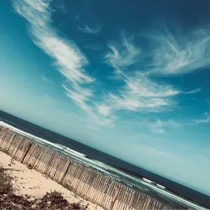 Garde d'animaux, à merignac et aux alentours 