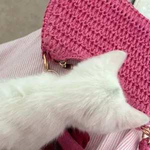 Baby-sitter expérimentée sur Paris