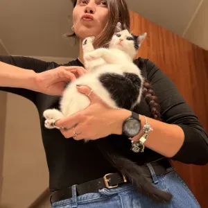 Les animaux de compagnie font aussi partie de la famille