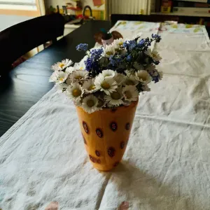 A la recherche d'une baby sitter pour 1h 2 fois par semaine