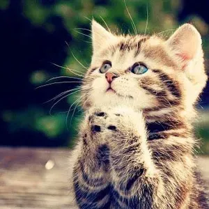 Je recherche une nounou