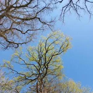 Éducatrice spécialisée et animatrice
