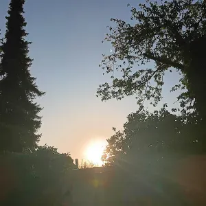 Poste pour un(e) dog-sitter - Petsitter à Courchelettes