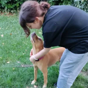 Gardienne attentionnée pour chiens/chats/autres