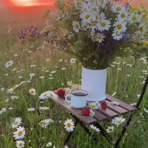 Baby sitter expérimentée Morsang-sur-Orge 91