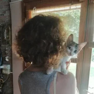 Cerco un servizio di pulizie vicino a me