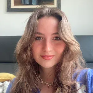 Cours d'anglais pour collège/Lycée 