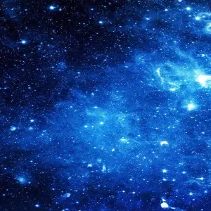 Petsitting no concelho de Vila Real de Santo António