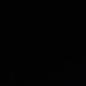 Pet-sitter à Soisy sous Montmorency 