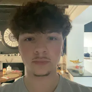 Pet sitter dans la région de Namur 