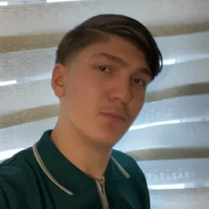 Pet sitter a Verviers et alentours 