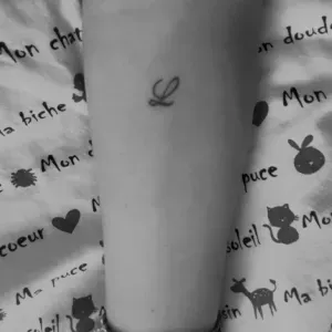 Baby sitting sur denain ou Evin malmaison 