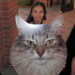 Petsitter de confiance pour vos fur babies