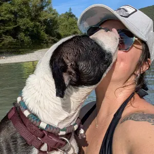 Pet-Sitter passionnée aux alentour de Montmeyran  