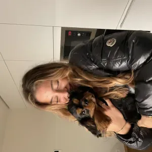 Pet-sitter au Luxembourg ville 